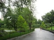 Manhattan, Central Park